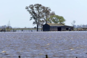 Emergencia agropecuaria por inundaciones: prorrogan la medida hasta febrero en Buenos Aires