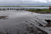 Anuario 2025: las inundaciones, un drama que desnudó la falta de infraestructura que sufre el campo