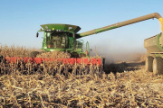 Las proyecciones de cosecha de maíz temprano le marcan el pulso a la logística agrícola del 2026