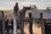 ¿“Hombre de campo” o empresario digital? El nuevo rol del productor agropecuario