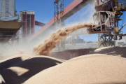 Se abrió la inscripción para exportadores de granos de cebada, trigo, soja, sorgo y maíz a China