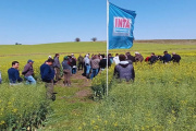 Provincia de Buenos Aires pidió el traspaso de tierras del Inta para destinarlas a investigación