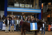 La Rural se prepara para una nueva edición de la Expo Angus Otoño