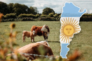 Ganadería argentina: “La dopamina está por las nubes” y crecen las expectativas por el boom del sector cárnico