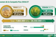 Campaña triguera 2026/27: ¿Cuáles son las perspectivas del mercado mundial y local de trigo?