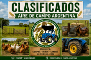 PRESENTAMOS LOS CLASIFICADOS DE AIRE DE CAMPO ARGENTINA