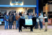 El Mejor Ternero Negro fue para “La Clo” y el Mejor Ternero Colorado para “Las Tranqueras”