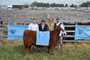 De la peluquería a la pista de jura de reproductores bovinos: un joven cabañero logró el Gran Campeón Angus en AgroActiva 2026
