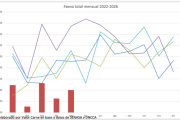 Faena argentina: sigue la tendencia a la baja, aunque se atenuó en mayo