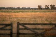 Un proyecto de ley busca destinar el 65% del impuesto inmobiliario rural bonaerense a la mejora de caminos