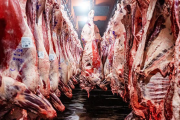 Creció un 369% la venta de carne argentina hacia Estados Unidos y alcanzó un desempeño histórico