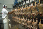 El pollo alcanzó un consumo récord y ya compite de igual a igual con la carne vacuna