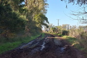8 de cada 10 caminos rurales están en mal estado y el 68% de los productores sufre pérdidas económicas por esta situación