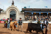 Expo Rural 2026: fechas, precios y cómo sacar entradas