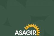 El girasol consolida un crecimiento récord global y el complejo argentino duplica sus exportaciones con molienda histórica