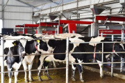 La producción de leche desaceleró su crecimiento en junio
