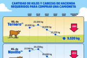 Se necesitan menos kilos de hacienda para comprar una camioneta: el mejor poder de compra de los últimos cinco años