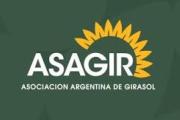 El girasol consolida un crecimiento récord global y el complejo argentino duplica sus exportaciones con molienda histórica