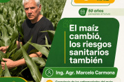 El maíz cambió. Los riesgos sanitarios también.