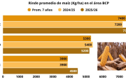 Cierre siembra fina 2026/27
