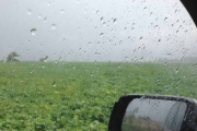 Agua para el campo: anuncian lluvias en Bahía Blanca y la zona