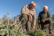 Recibió un campo de 8,4 leguas que «no daba plata», cambió la forma de manejarlo y hoy enfrenta la sequía en el desierto de la Patagonia