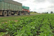Buscan incorporar hasta 50 mil/ha a la producción agrícola mediante el uso de tierras linderas a las rutas
