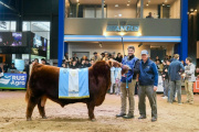 Histórico: Se vendió el 50 por ciento de un toro Angus en 300 millones de pesos