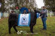 “El nivel de la exposición de Dorrego es muy destacado”