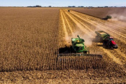 La cosecha récord da impulso la actividad de la cadena agropecuaria