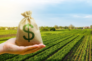 Presupuesto 2027: el sector agropecuario reclamará que los fondos del IVA perdieron más de 90% de su valor