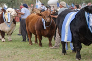 Llega la Expo Rural 2026 en Bahía Blanca