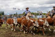Productores argentinos duplican en optimismo a los de Estados Unidos sobre el futuro del agro