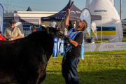 Don Cholo se consagró con el Gran Campeón Macho de Primavera y La Juanita logró el Gran Campeón Ternero