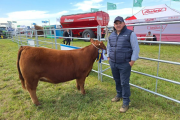 Angus no para de crecer: genética, carne y una marca argentina que gana el mundo