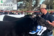 PAMPEANOS ENTRE LOS GRANDES CAMPEONES DE VILLA BORDEU