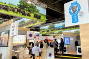 Rumbo a la SIAL de París: La carne Angus Certificada triplica sus exportaciones y va por el mercado asiático