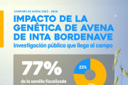 IMPACTO DE LA GENÉTICA DE AVENA DE INTA BORDENAVE 🌱