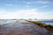 Declaran la emergencia agropecuaria por inundaciones en 2 partidos bonaerenses