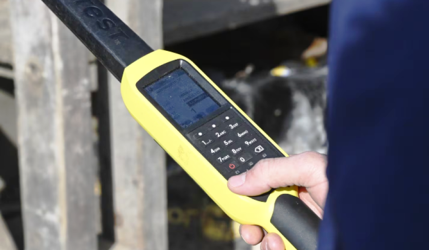 El gobierno de La Pampa recuerdan la plena vigencia de la identificación electrónica obligatoria para el ganado