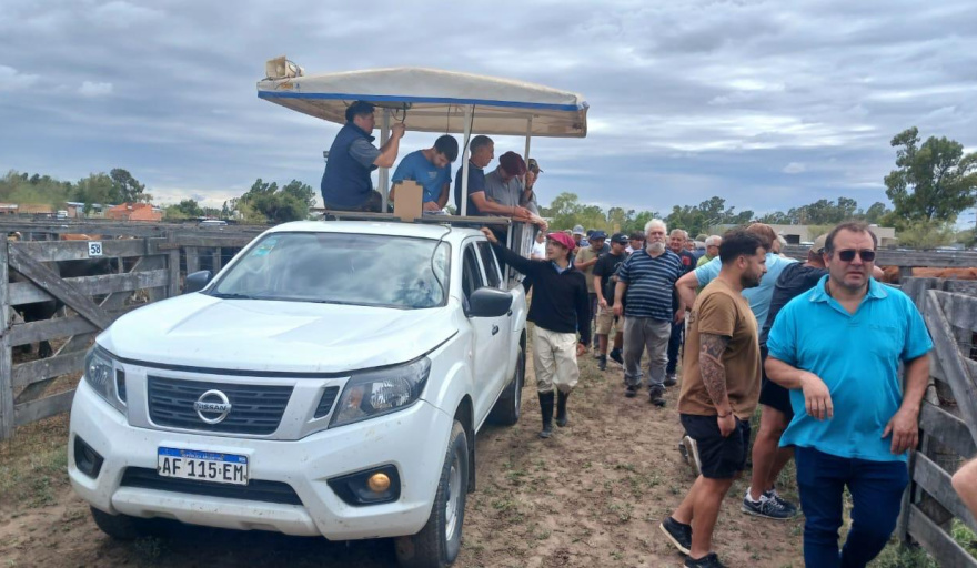 Un lote de terneros hizo más de 8000 pesos el kilo!