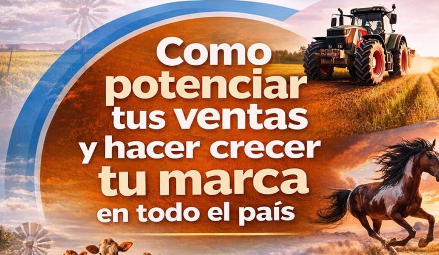 Como potenciar tus ventas y hacer crecer tu marca en todo el país