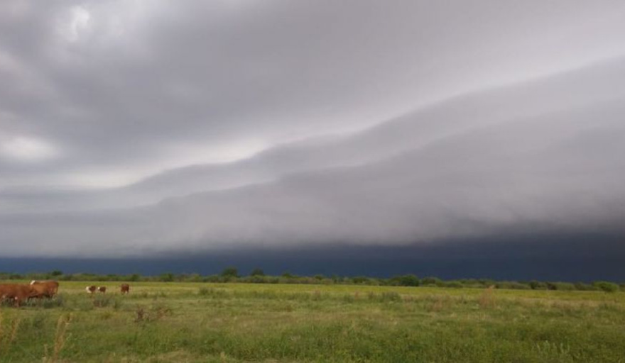 Se reactivó el movimiento de compra de campos en la región núcleo