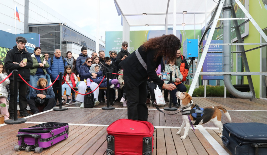 Brigada canina en Palermo