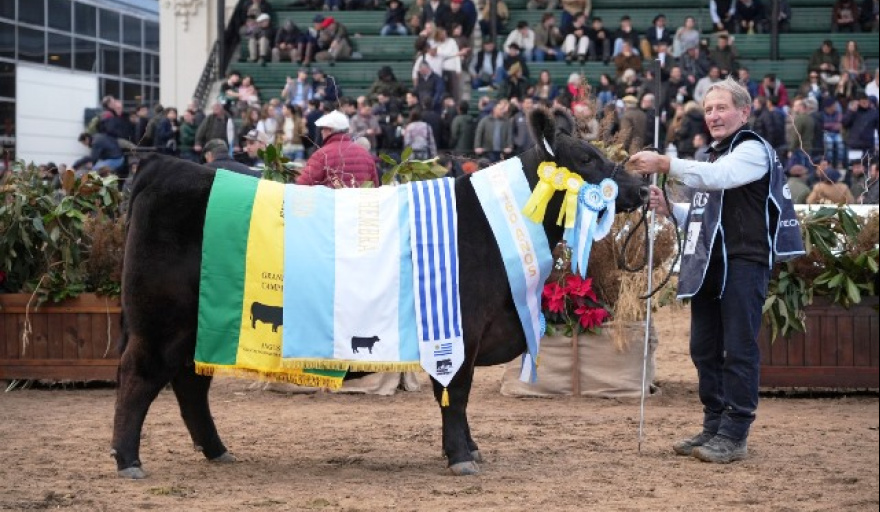 Campeones en la 138 Expo Rural 2026 de Palermo